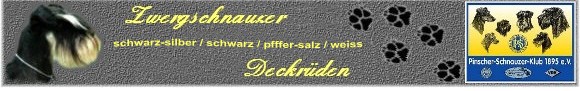 Banner-Deckruden-Info