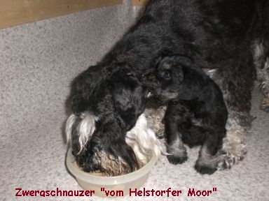 Wir teilen Irfan