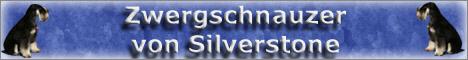 bannersilverstone_480