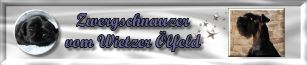 vom_wietzer_oelfeld Irfan